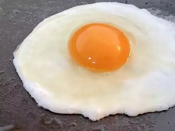 「「幸せを呼ぶ青い卵」って知ってる？アローカナの希少な卵食べてみた【編集部ブログ】」の画像