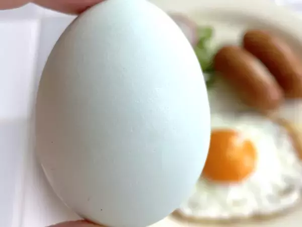 「「幸せを呼ぶ青い卵」って知ってる？アローカナの希少な卵食べてみた【編集部ブログ】」の画像