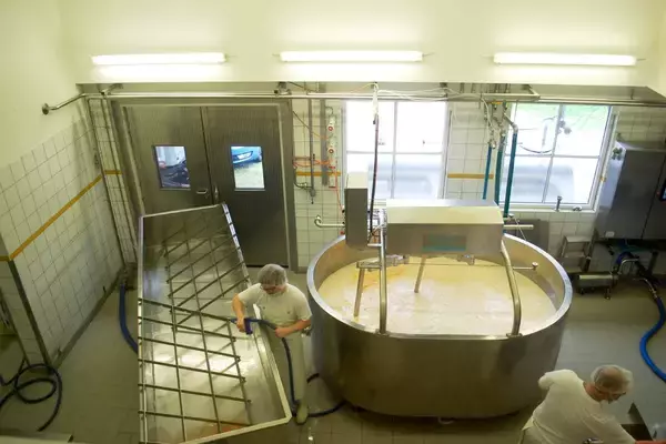 「【ドイツ現地取材特集３】チーズやパン、ハーブも～「地元食材」に触れる旅～」の画像