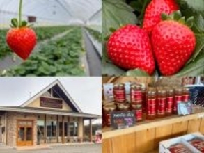 【3周年記念！宿泊料金25％OFFプラン登場】いちご狩り＆グランピングBBQプランも｜ブリリアントヴィレッジ日光