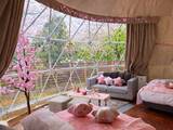 「【花粉・寒さゼロのお花見グランピングプラン】1日1棟限定！インドアお花見×夜桜BBQを満喫｜ブリリアントヴィレッジ日光」の画像1