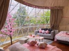 【花粉・寒さゼロのお花見グランピングプラン】1日1棟限定！インドアお花見×夜桜BBQを満喫｜ブリリアントヴィレッジ日光