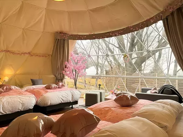 「【花粉・寒さゼロのお花見グランピングプラン】1日1棟限定！インドアお花見×夜桜BBQを満喫｜ブリリアントヴィレッジ日光」の画像