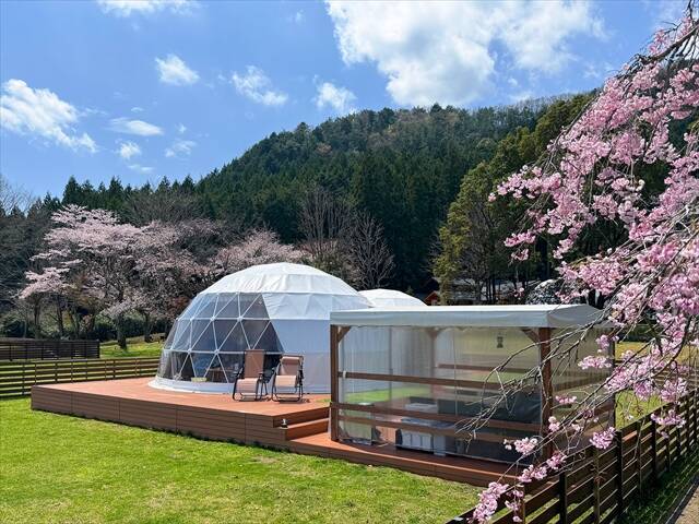 【花粉・寒さゼロのお花見グランピングプラン】1日1棟限定！インドアお花見×夜桜BBQを満喫｜ブリリアントヴィレッジ日光