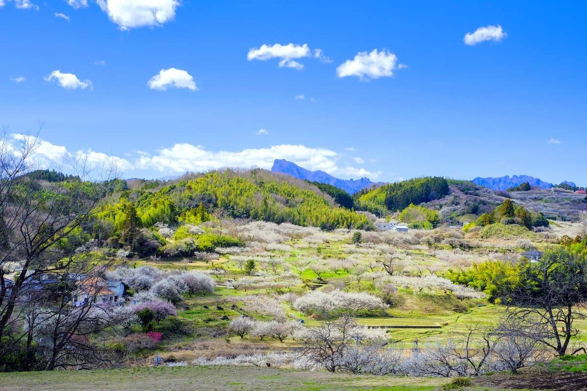 【春を感じる！日帰りガストロノミーツーリズムのススメ】群馬県・磯部温泉のレトロな街並みと土地の“食”を体験する旅