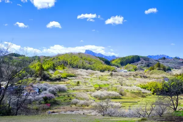 「【春を感じる！日帰りガストロノミーツーリズムのススメ】群馬県・磯部温泉のレトロな街並みと土地の“食”を体験する旅」の画像