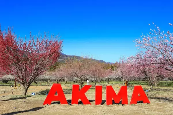 「【春を感じる！日帰りガストロノミーツーリズムのススメ】群馬県・磯部温泉のレトロな街並みと土地の“食”を体験する旅」の画像