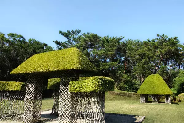 【らんの花祭りうりずん2026】花が降りそそぐようなシャワートンネルが圧巻！｜ 沖縄県