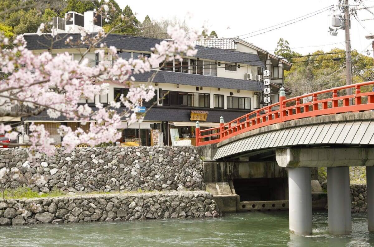 【京都・宇治で桜とグルメを楽しむ】宇治川沿いの飲食店＆お土産処3店舗でお花見フェア開催