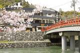 「【京都・宇治で桜とグルメを楽しむ】宇治川沿いの飲食店＆お土産処3店舗でお花見フェア開催」の画像10
