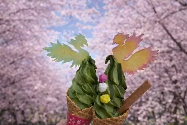 「【京都・宇治で桜とグルメを楽しむ】宇治川沿いの飲食店＆お土産処3店舗でお花見フェア開催」の画像