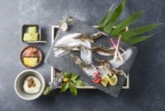 世界農業遺産・長良川の鮎を味わう贅沢！5月限定「天然鮎食べ比べBOX」完全予約制で登場｜岐阜・天然鮎みやちか