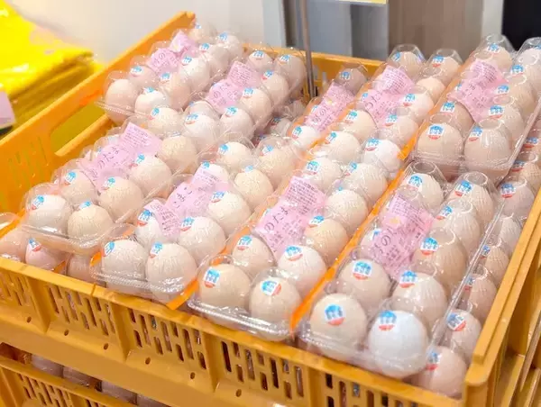 「【ペリエ稲毛】千葉ならではのローカルフードや愛されベーカリーも！全38店が集結する「グルマリーナ」がリニューアルオープン」の画像