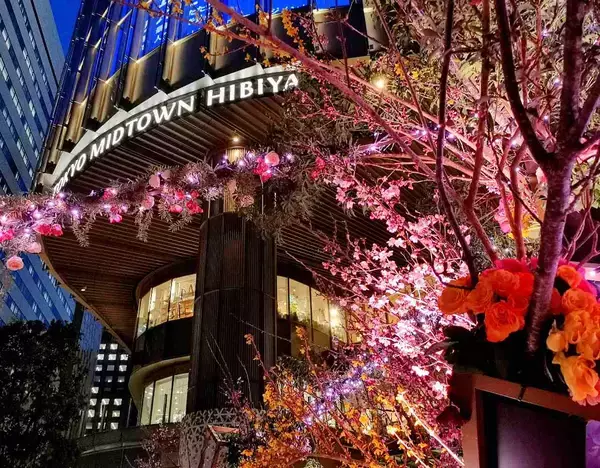 【大人のおすすめ春散歩】今だけ限定「花×イルミ」の共演！東京ミッドタウン日比谷