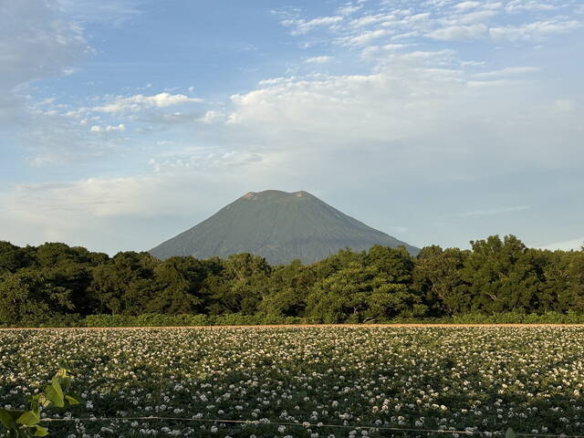 【夏こそ行きたいニセコ】平均気温18.9度の避暑地で楽しむ！絶景・グルメ・アクティビティなんでもあり