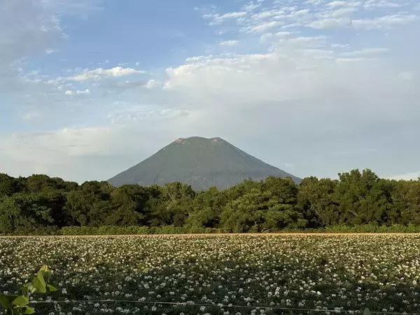 「【夏こそ行きたいニセコ】平均気温18.9度の避暑地で楽しむ！絶景・グルメ・アクティビティなんでもあり」の画像