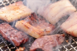 【全肉祭 in 高知】200種類超の肉グルメを食べ尽くせ！夜はファイヤーショー＆ライブもあり