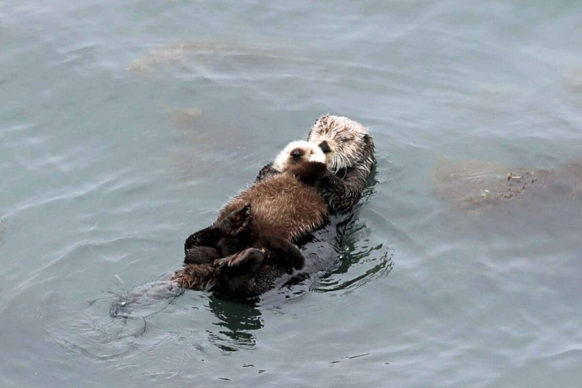 日帰り温泉施設とアニメがコラボ！「ルパン三世の湯 霧多布温泉ゆうゆ」浴室イラストから名曲BGM・限定グッズも｜北海道