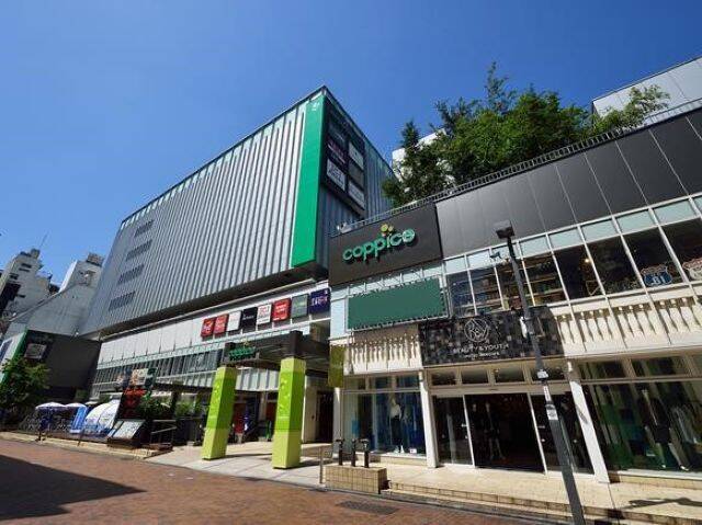 【農toアジア飯のマルシェ】手作り餃子や本格アジア飯・かき氷も！東京都産野菜も買える｜吉祥寺