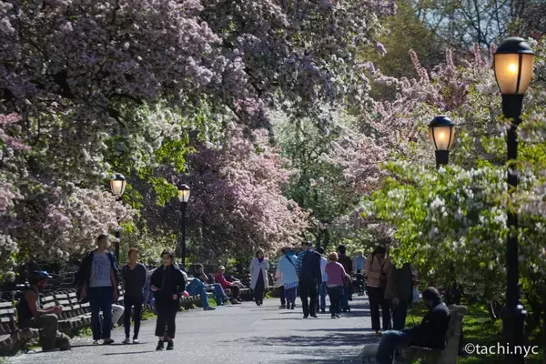【ニューヨーク旅学事典13】ニューヨークの春を楽しむ「リバーサイド・パーク」