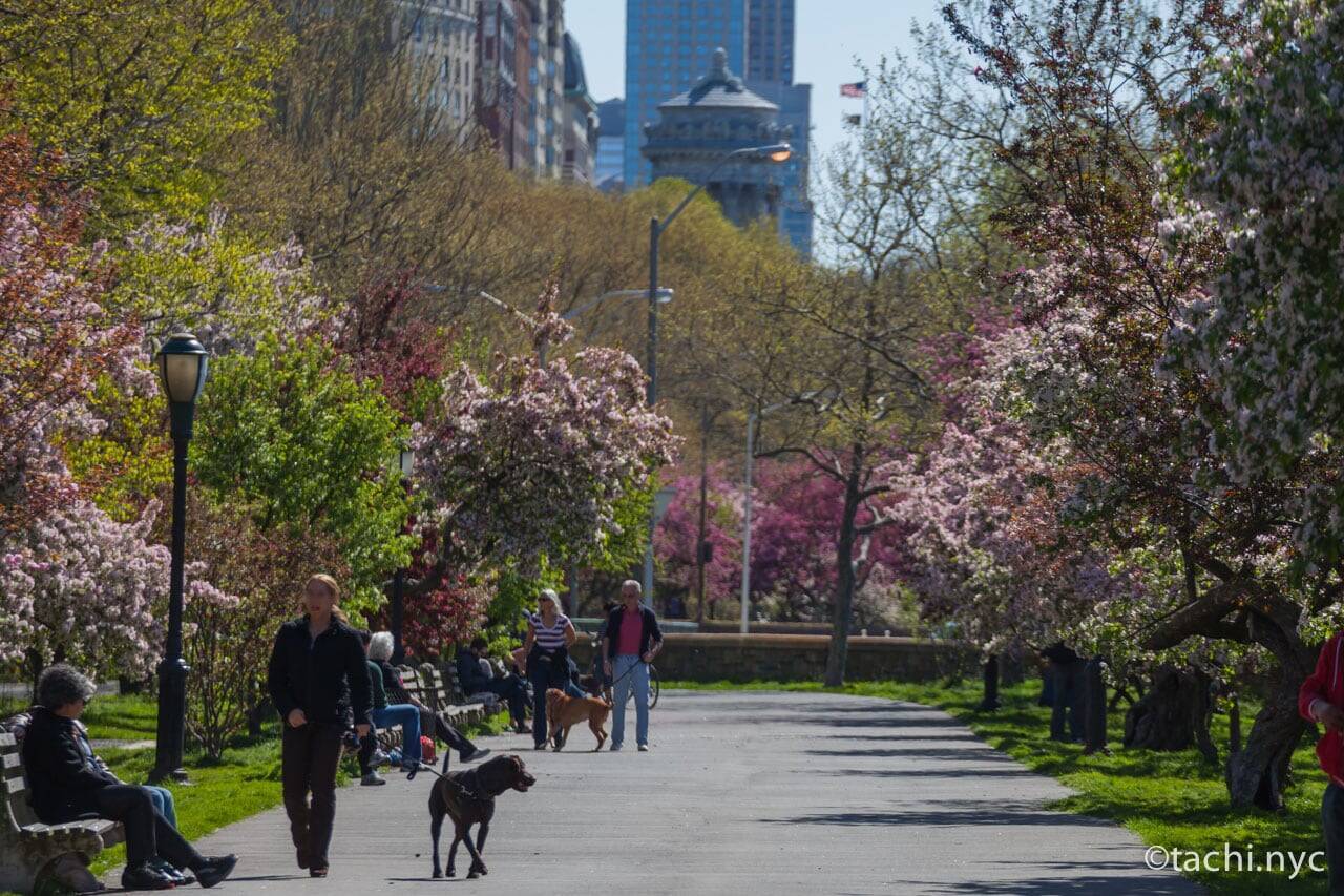 【ニューヨーク旅学事典13】ニューヨークの春を楽しむ「リバーサイド・パーク」