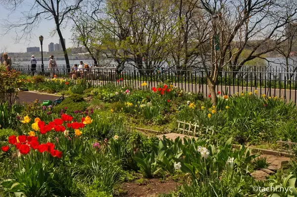 「【ニューヨーク旅学事典13】ニューヨークの春を楽しむ「リバーサイド・パーク」」の画像