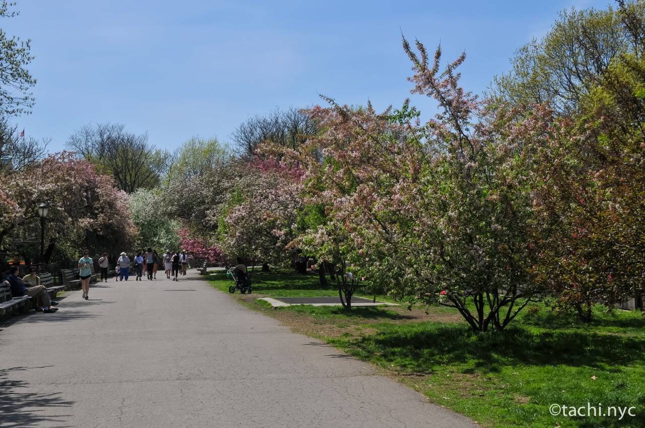【ニューヨーク旅学事典13】ニューヨークの春を楽しむ「リバーサイド・パーク」