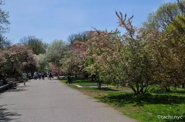 「【ニューヨーク旅学事典13】ニューヨークの春を楽しむ「リバーサイド・パーク」」の画像