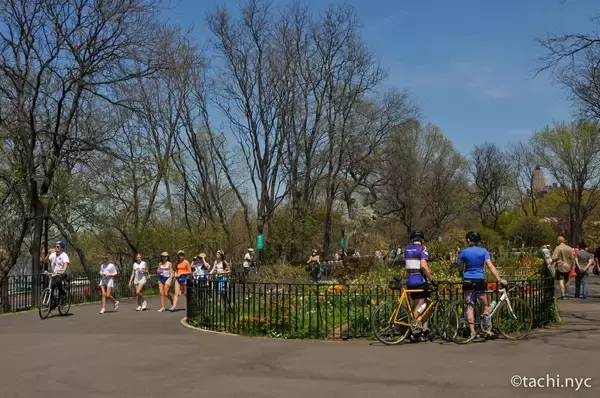 「【ニューヨーク旅学事典13】ニューヨークの春を楽しむ「リバーサイド・パーク」」の画像