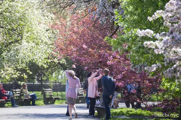 「【ニューヨーク旅学事典13】ニューヨークの春を楽しむ「リバーサイド・パーク」」の画像