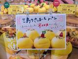 「【伊豆・村の駅がリニューアル】第1弾はベーカリーと和菓子処オープン！ご当地素材のじゃがいもやさつまいもを使ったパン・スイーツが新登場」の画像10