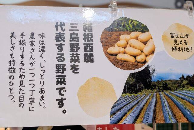 【伊豆・村の駅がリニューアル】第1弾はベーカリーと和菓子処オープン！ご当地素材のじゃがいもやさつまいもを使ったパン・スイーツが新登場