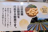 「【伊豆・村の駅がリニューアル】第1弾はベーカリーと和菓子処オープン！ご当地素材のじゃがいもやさつまいもを使ったパン・スイーツが新登場」の画像5