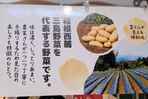 「【伊豆・村の駅がリニューアル】第1弾はベーカリーと和菓子処オープン！ご当地素材のじゃがいもやさつまいもを使ったパン・スイーツが新登場」の画像