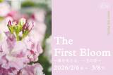「【京都府立植物園】早春の草花展や没入型エンターテインメントも！「The First Bloom ―春を先どる1万の花―」」の画像1
