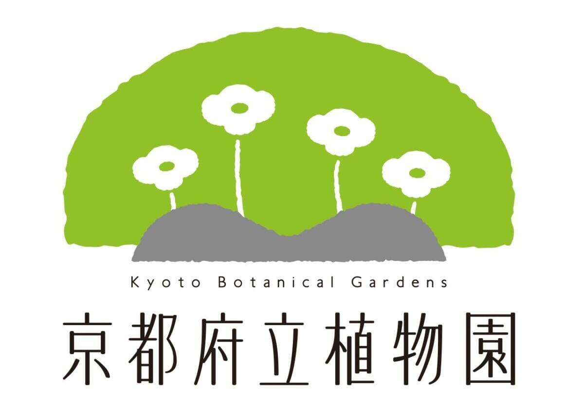 【京都府立植物園】早春の草花展や没入型エンターテインメントも！「The First Bloom ―春を先どる1万の花―」
