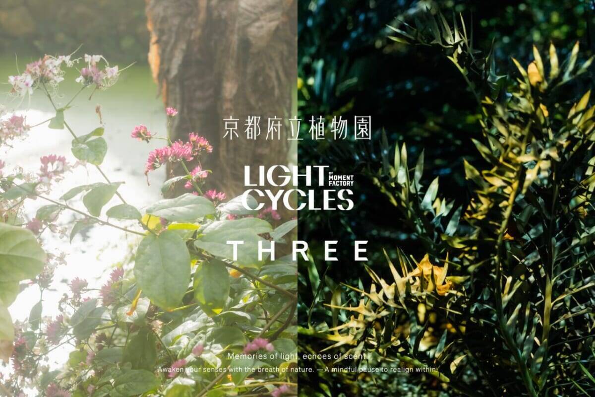 【京都府立植物園】早春の草花展や没入型エンターテインメントも！「The First Bloom ―春を先どる1万の花―」