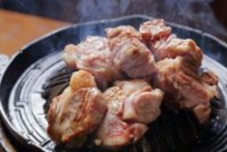 【北海道ジンギスカンフェスティバル2026】全国から38種類以上が集まる！5月15日から3日間開催