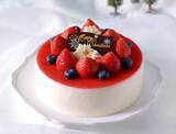 「「2023 東武のクリスマスケーキ」予約スタート！有名パティシエ・人気店・種類豊富な冷凍ケーキも」の画像6