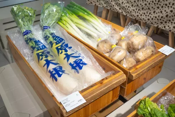 「【那須塩原の魅力が満載！】特産品を使った絶品グルメやご当地商品が集結した期間限定ポップアップショールームが開催中」の画像