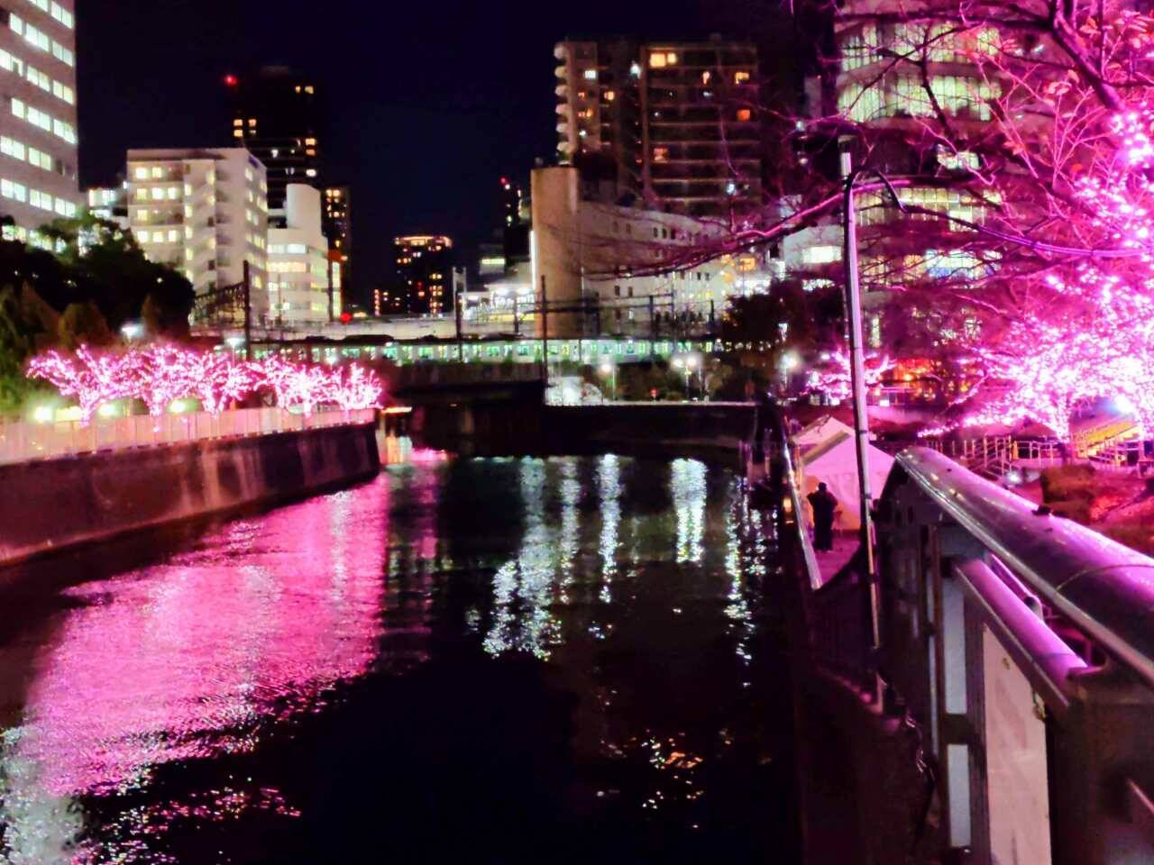 使用済み食用油が“39万個の桜”を輝かす「目黒川みんなのイルミネーション2025」大崎～五反田｜2026年1月末まで