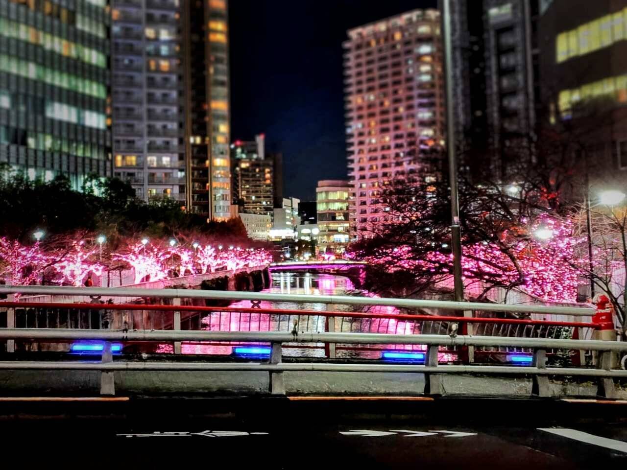 使用済み食用油が“39万個の桜”を輝かす「目黒川みんなのイルミネーション2025」大崎～五反田｜2026年1月末まで