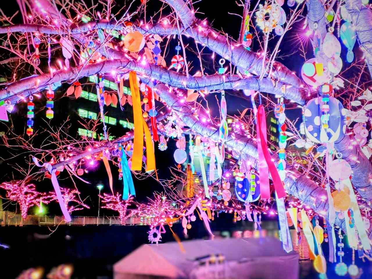 使用済み食用油が“39万個の桜”を輝かす「目黒川みんなのイルミネーション2025」大崎～五反田｜2026年1月末まで