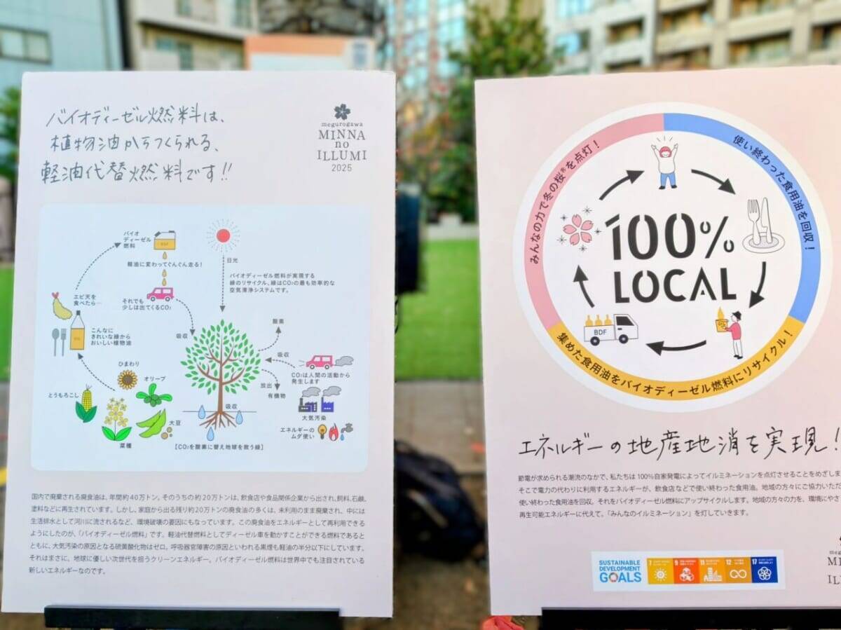 使用済み食用油が“39万個の桜”を輝かす「目黒川みんなのイルミネーション2025」大崎～五反田｜2026年1月末まで