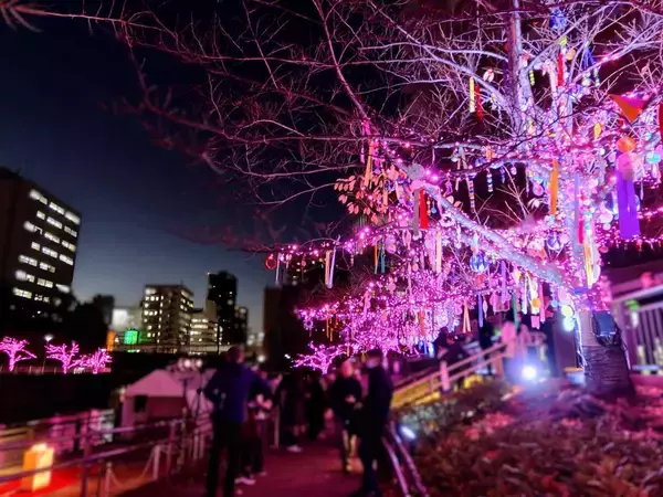 「使用済み食用油が“39万個の桜”を輝かす「目黒川みんなのイルミネーション2025」大崎～五反田｜2026年1月末まで」の画像
