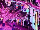「使用済み食用油が“39万個の桜”を輝かす「目黒川みんなのイルミネーション2025」大崎～五反田｜2026年1月末まで」の画像9