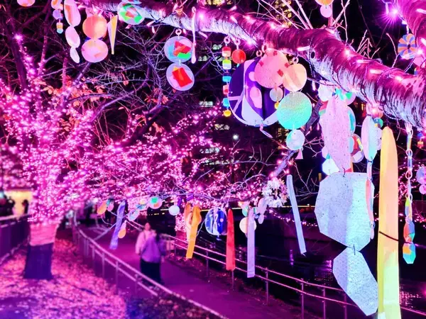 「使用済み食用油が“39万個の桜”を輝かす「目黒川みんなのイルミネーション2025」大崎～五反田｜2026年1月末まで」の画像