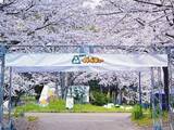 「大阪城公園で春だけのお楽しみ！手ぶらでOK「大阪城 森のバーベキュー」3月20日より開催」の画像12