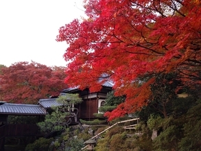 通常非公開の京都「霊鑑寺」が秋の特別拝観！狩野派の襖絵や美しい庭園を公開
