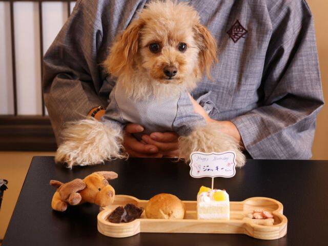 【愛犬と泊まる古民家リトリート赤城山 - 懐 -】 夏の会席コース＆愛犬が主役の記念日プランが新登場｜群馬県